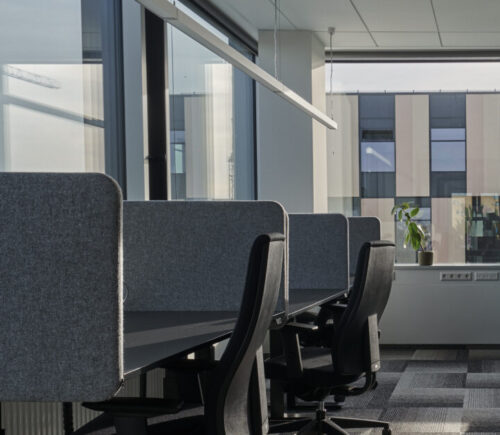 DSC04171 HDR 1 e1769076412793