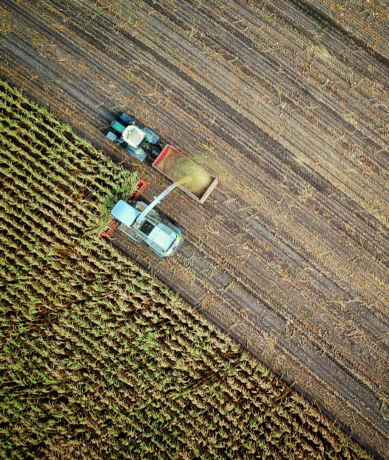 helping the agriculture industry with outsourcing